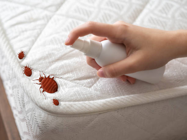 Best Best Pest Control Companies  in Boston Heights, OH